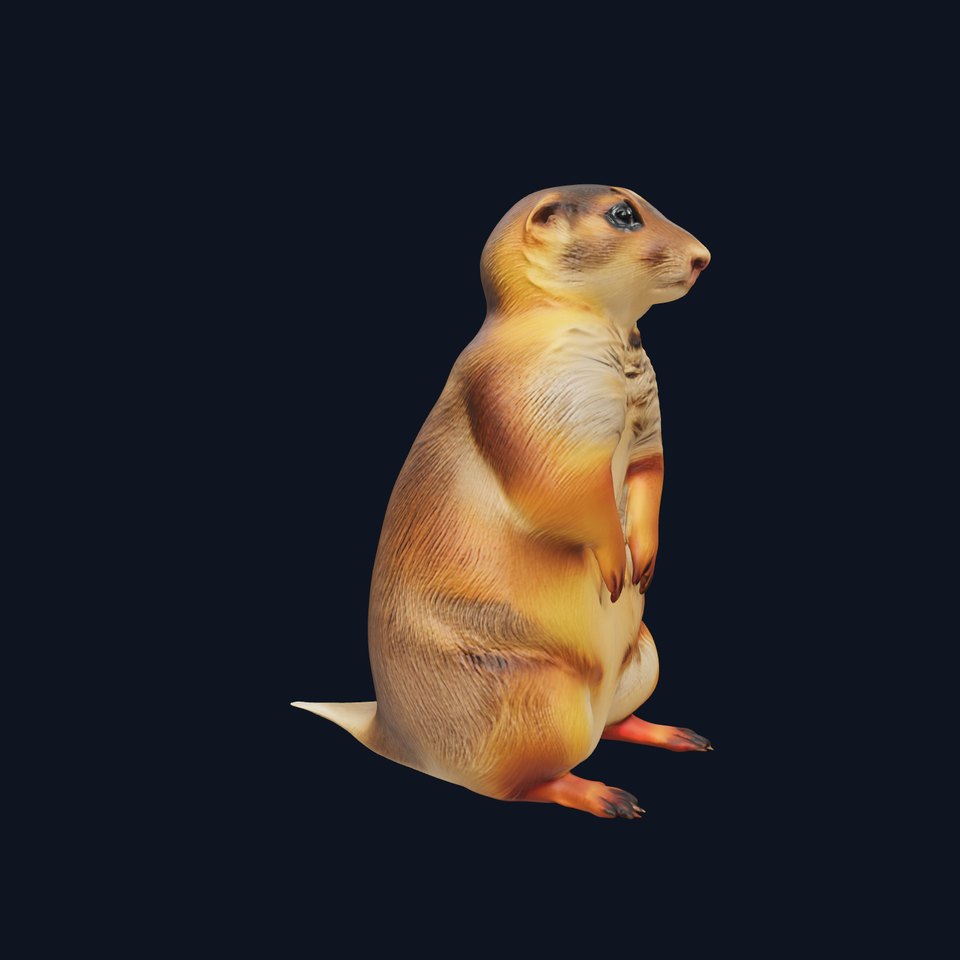 Prairie Dog D Model Pack with Detailed Fur and Textures